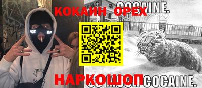 шишки Новокубанск