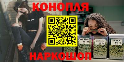 шишки Новокубанск