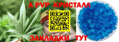 шишки Новокубанск