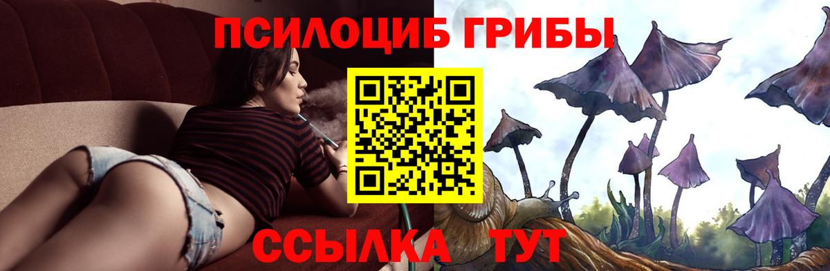 Галлюциногенные грибы ЛСД Сыктывкар